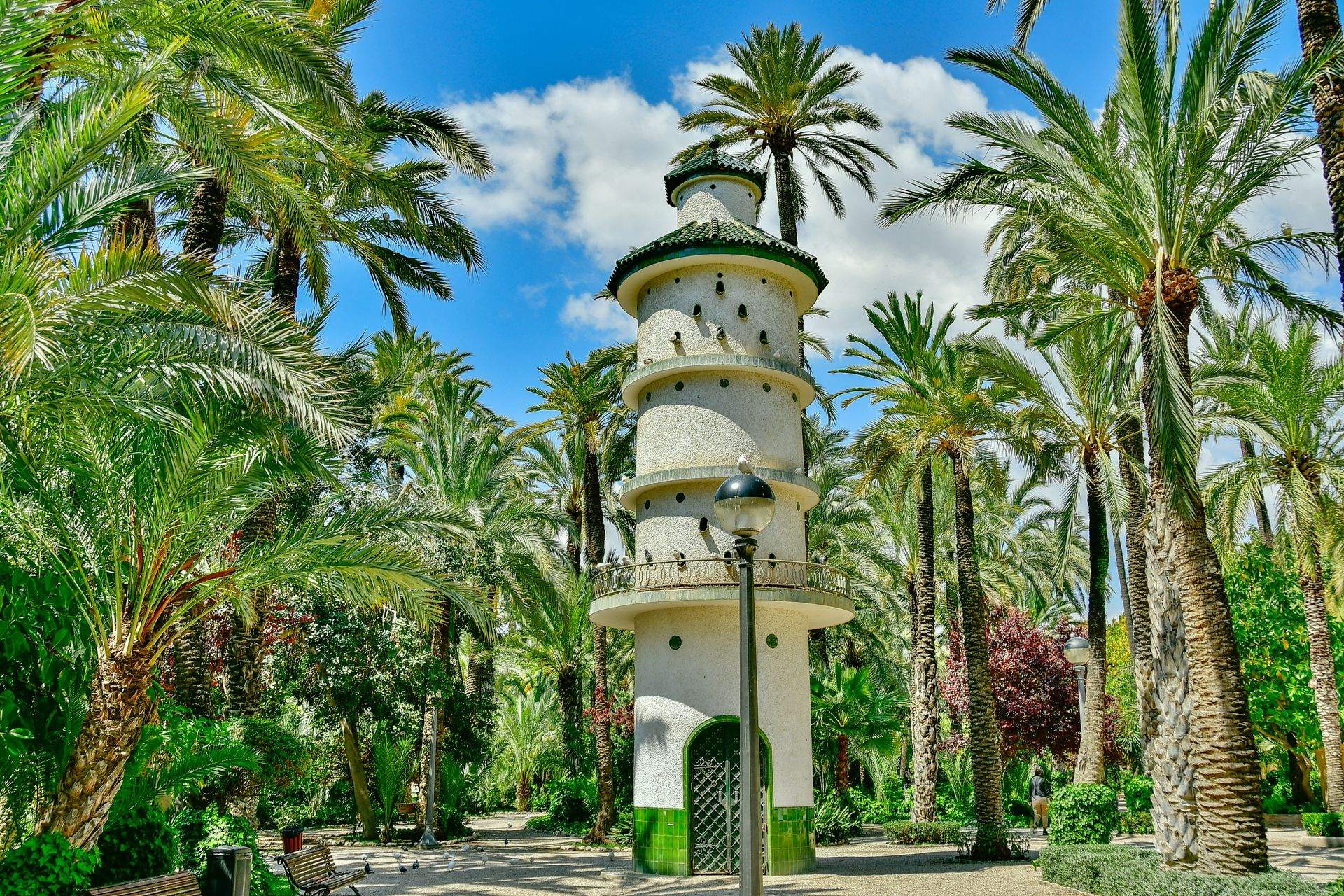 El Palmeral de Elche junto a zonas residenciales de la ciudad